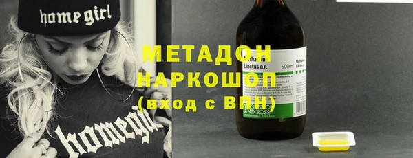 индика Гусев
