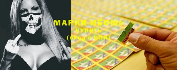 индика Гусев