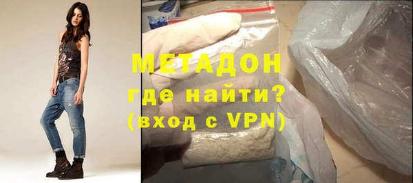 индика Гусев