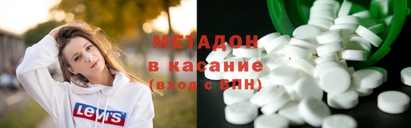 индика Гусев