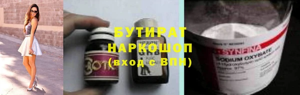 индика Гусев