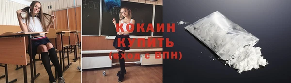индика Гусев