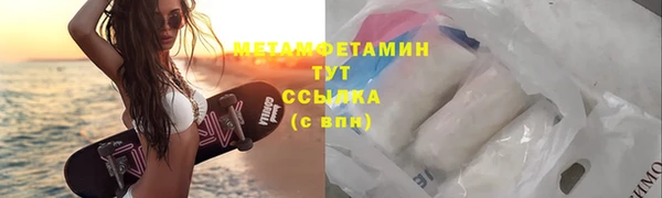 индика Гусев