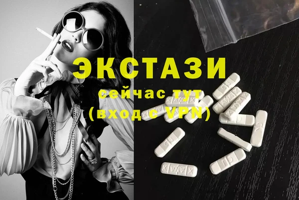 индика Гусев