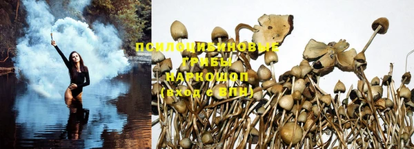 крисы Михайловка