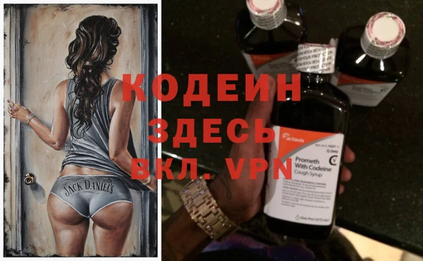 индика Гусев