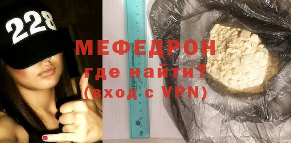 индика Гусев