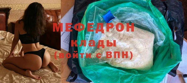индика Гусев