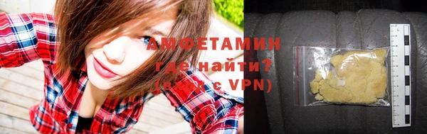 индика Гусев