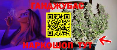 крисы Краснознаменск