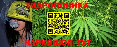 spice Балашиха