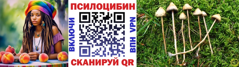 Галлюциногенные грибы ЛСД  цены наркотик  Назарово 
