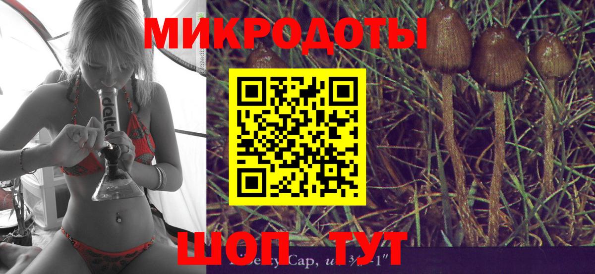Назарово  Галлюциногенные грибы Psilocybe  Вход с VPN 