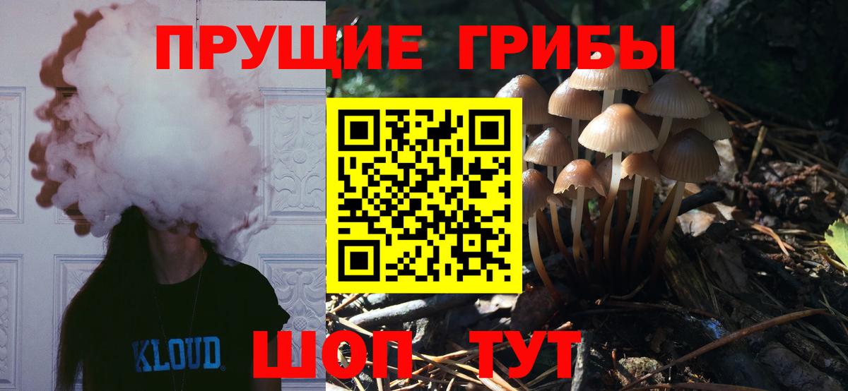 Псилоцибиновые грибы прущие грибы Назарово