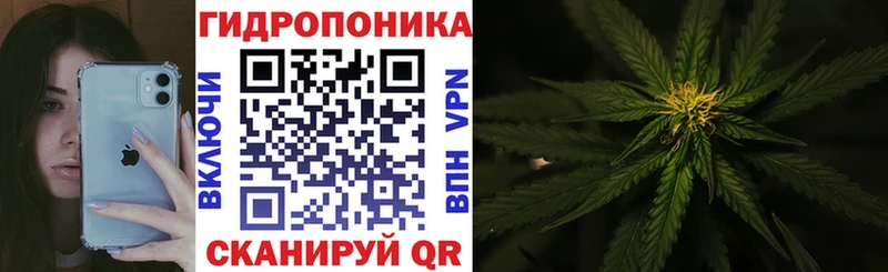 Канабис сатива  Назарово 